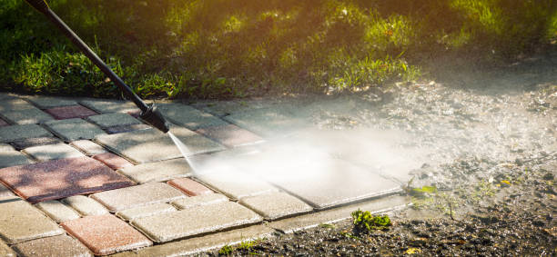 Best Solar Panel Cleaning  in Ardia, CA