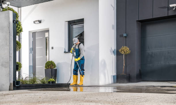 Best Soft Washing  in Ardia, CA